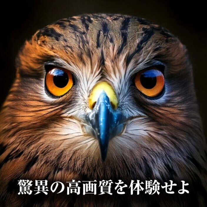 スクリーンショット 2025-02-27 172752_コピー